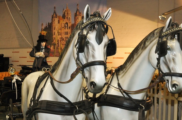 ABF 2010   134.jpg